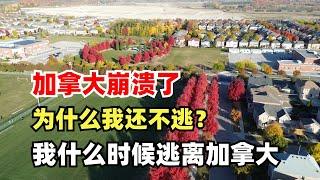 回复黑粉：加拿大崩溃了为什么我不回国？我什么时候逃离加拿大？为什么一直骂加拿大？