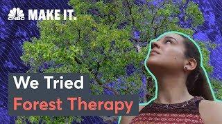 What Is Forest Therapy?