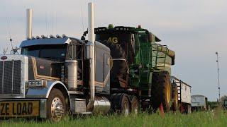 Finishing Up Wheat and Loading Combines