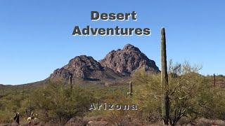 Desert Adventures in Arizona