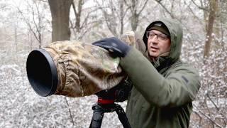 Winter Bird Photography at the Park: Tips & Techniques for Small Bird Photography