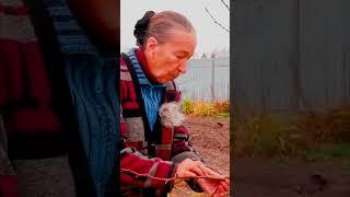 что такое прирост на дереве