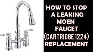 Fast Leaky Moen Faucet Fix-1224 Cartridge Replacement