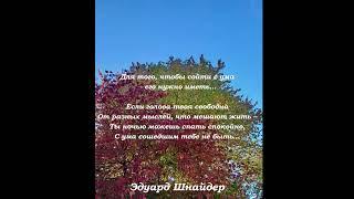 "Можешь спать спокойно..." Эдуард Шнайдер. Читает: автор.(стихи /мысли/ Книга-1 "Дед")#shorts