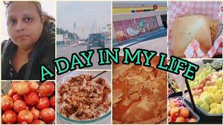 A day in my life ~ Busy day ~ Family vlogs ~ Urdu and Hindi @AliyasLifeinCanada  @aliyareact379