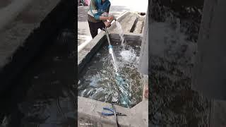 Submersible Pump 1 HP V4 Texmo Taro Load Testing #Shorts#youtubeshorts #pradeep Sanadhya #support