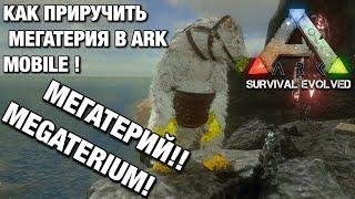 ПРИРУЧИЛ МЕГАТЕРИЯ  В ARK SURVIVAL EVOLVED MOBILE!!! МЕГАТЕРИЙ В ARK SURVIVAL EVOLVED MOBILE!