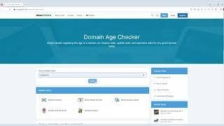 Domain Age Checker