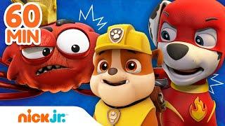 PAW Patrol | PAW Patrols REUSACHTIGSTE reddingen ooit!  | Nick Jr.