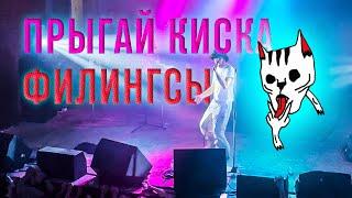 Прыгай киска — филингсы (MOD Санкт-Петербург 09.04.2023)