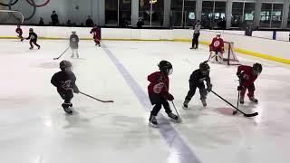 PIA U8 - ???, 2024 - TIGERS (Alex #62) against OWLS (WON 8:0 - 2G)