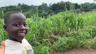 US to Ghana, Enjoying the 50 Acre Farm￼