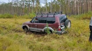 Land Cruiser в болоте