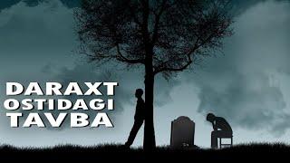 Daraxt Ostidagi Tavba | Daraxt Ostidagi Voqea | Audiohikoya