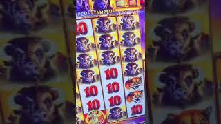 HUGE Jackpot on a $2 bet?!  #casino #gamble #vegas #slots #win