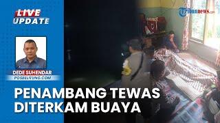 Niat Cuci Kaki di Pinggir Sungai Berujung Duka, Penambang Timah di Belitung Tewas Diterkam Buaya
