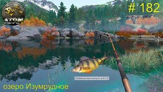 Отлов желтого окуня. Озеро Изумрудное. # 182.  Прохождение Atom Fishing II