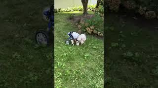#nobot