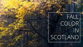 Fall Color Photography in Scotland