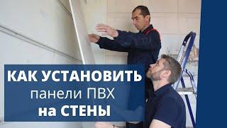 Как установить ПАНЕЛИ ПВХ на СТЕНЫ своими руками