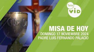 Misa de hoy  Domingo 17 Noviembre de 2024, Padre Luis Fernando Palacio #TeleVID #MisaDeHoy #Misa