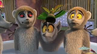 king julien.  plant food.