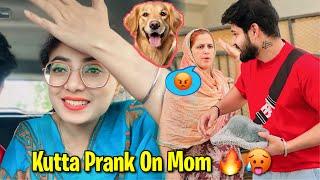 KUTTA PRANK ON MOM *KUTAAPA* Prank Vlog • Bawan Preet Vlogs