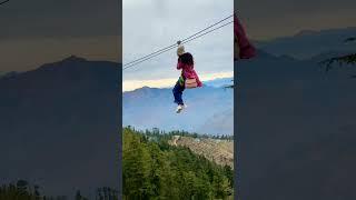 zip line….. #shimla #kufri #zipline #shorts #youtube #funactivities #viral