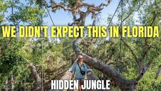 Exploring Florida's Hidden Gem - Myakka River State Park , Sarasota Florida