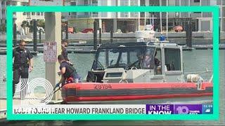 Brandon man found dead in water after crash on Howard Frankland Bridge