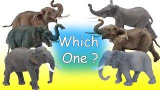 Schleich vs Papo vs CollectA / What's your Favorite Elephant ?