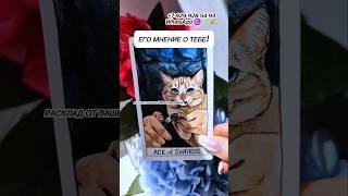 ЕГО МНЕНИЕ О ТЕБЕ..️ #таро #гадание #расклад #сегодня #чтоондумает #егомысли #яион  #чародейка