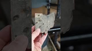 Making Ohio out of Buckeye Burl | Official State Tree Map #shorts #trees #wood