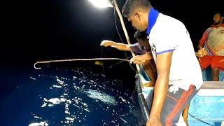 Catching King Fish, Blacktip Trevally & Queen Fish in the Deep Sea