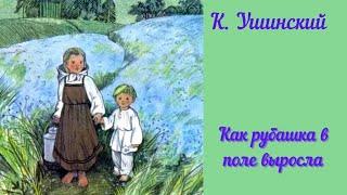 К. Ушинский "Как рубашка в поле выросла".