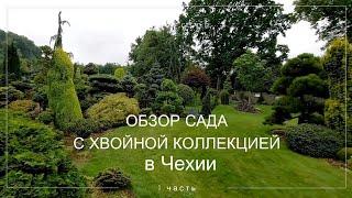 Красивый сад в Чехии. Miniarboretum u Holubů. Большая хвойная коллекция, и не только....  1 часть.