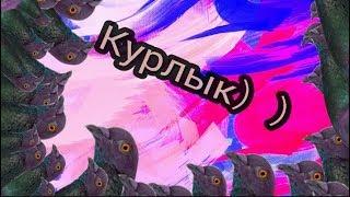 [MĂP Open] Курлык :з 7/7