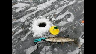 Как найти щуку зимой!!!  Ловля щуки на жерлицы зимой  2020-2021 г. How to find a pike in winter!!!