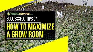 How to maximize a commercial grow room | Commercial Cannabis Lighting Vertical Farming |Grow Rebates