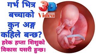 #बच्चाको लिङ्ग कहिले बन्छ? #गर्भमा #शिशुको_विकास #baby #development #mummynepal #pregnancy #pregnant