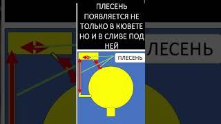 Плесень в кювете стиральной машины. Зараза которая может убить прибор и испортить одежду