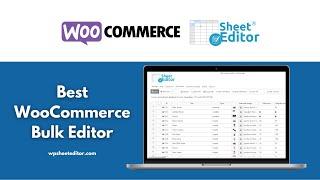 Best WooCommerce Bulk Editor: Edit Thousands of Products and Variations in a Spreadsheet - WordPress