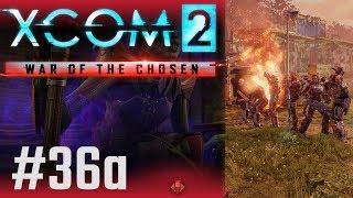 XCOM 2, War of The Chosen (PL) cz.36a - chryzalidy.