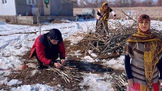 Living the Village Life | Chopping & Stacking Firewood | Winter in the Countryside