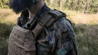 Wotan плитоноска Plate Carrier Bizon