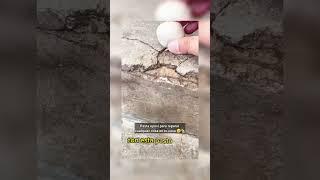 Técnica para reparar cualquier parte dañada de tu casa #construction #ideas #reelsviral #usa #mexico