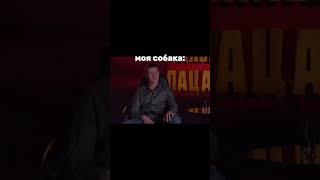 #арт на мазь для лап #271212407 #чихуахуа#собака#дрессировка#мем