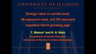 Energy value in canola meal, 00-rapeseed meal, and 00-rapeseed expellers fed to growing pigs