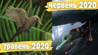 Oculudentavis: як найменший у світі динозавр став ящіркою