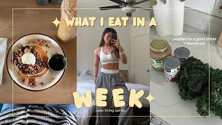 WHAT I EAT IN A WEEK as 9-5 working girl (EXTREMELY REALISTIC)